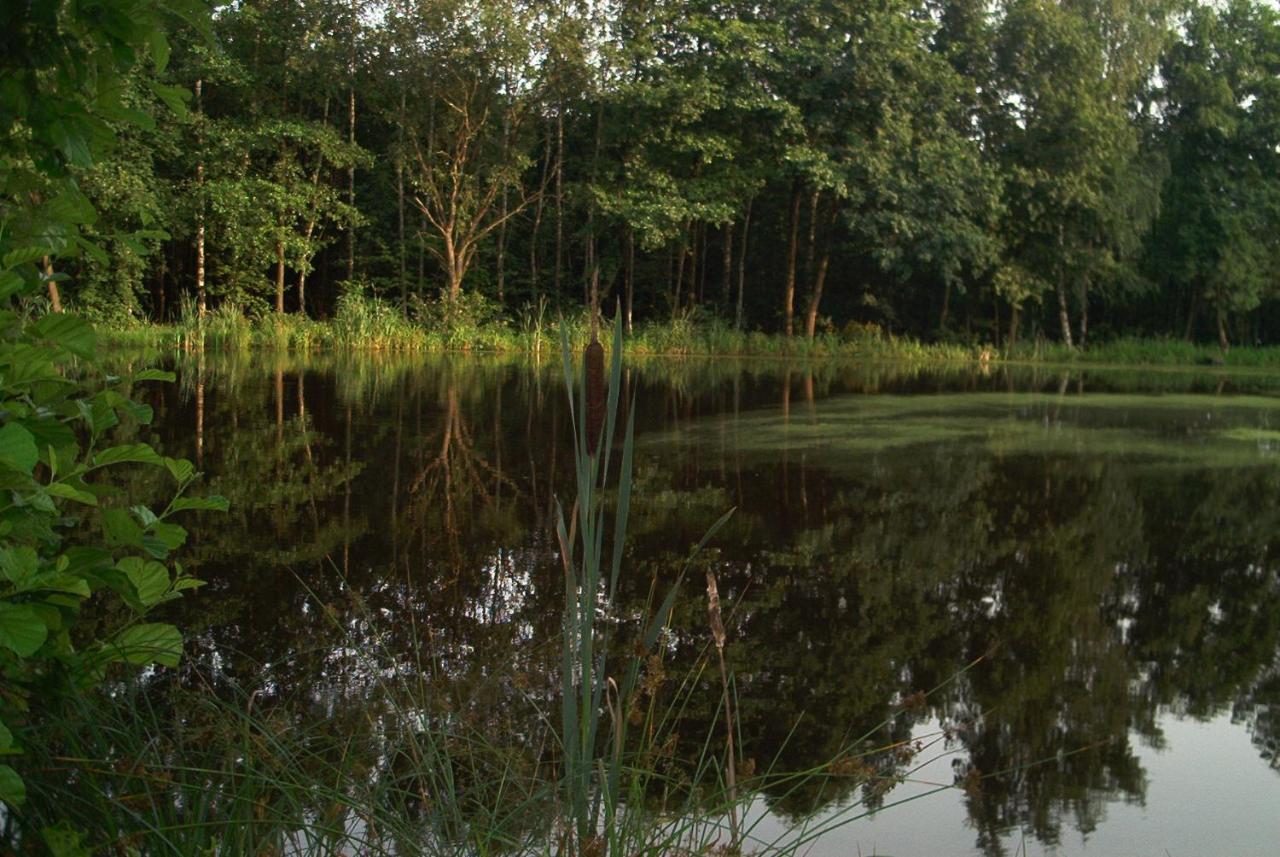 Ferienwohnungen Stricker Harz Walkenried Exteriör bild